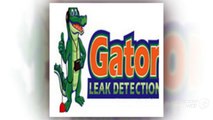 Gator Leak Detection - Experienced Swimming Pool Leak Detection Contractor