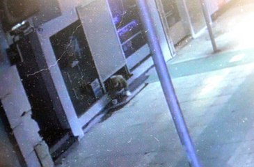 Sürünerek girdi, 25 bin TL çaldı