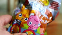 Kinder Surprise and Moshi Monsters FIZZ Magic with Moshling Surprise