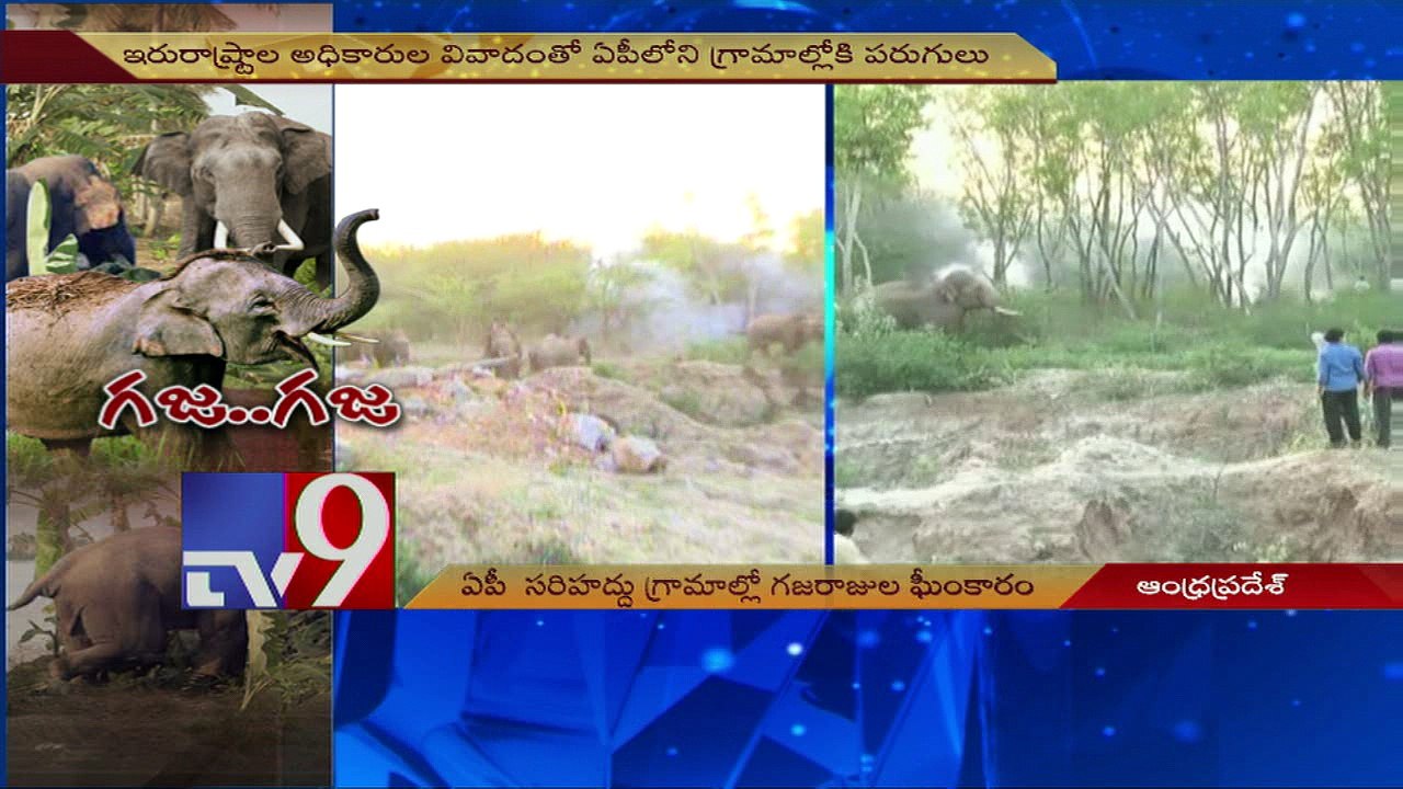 Elephants wage war on human settlements ! - TV9