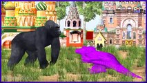 Dinosaur 3D Colors Songs Collection for Babies | Dinosaur Gorilla Lion Color Songs Collection kids
