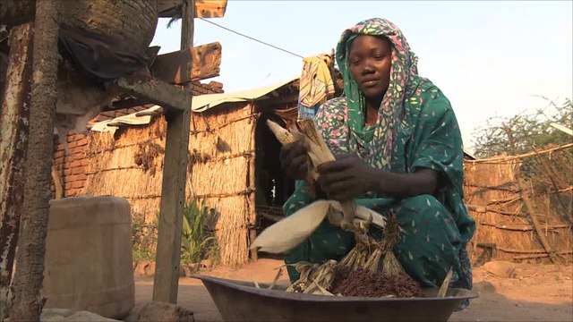 مساعٍ حكومية لدمج النازحين بجنوب كردفان