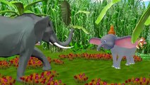 Colours Elephant Finger Family Songs Compilation | Elephant Children Nursery Rhymes Collection