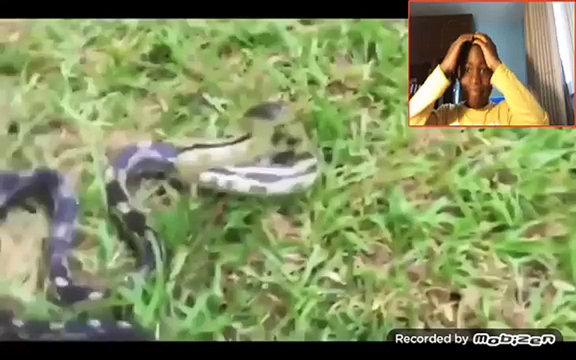 ESSAYER DE NE PAS RIRE #1