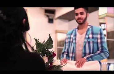 Florin Salam si Denisa - As vrea o noapte [video 2017]