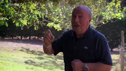 Ein Traum von Baum - 4v5 - Dem Zahn der Zeit zum Trotz - by ARTBLOOD