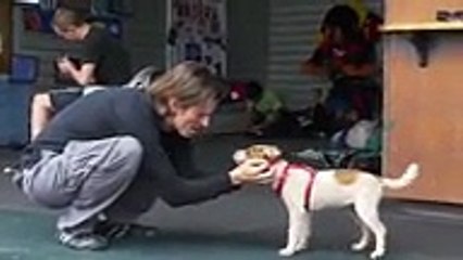 Man Jumps Without Parachute