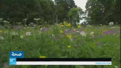 الزهور وتأثيرها "الساحر" على الصحة