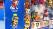 PAW PATROL LIMITED EDITION METALLIC SERIES ACTION PACK PUPS CHASE MARSHALL RUBBLE SKYE EVEREST ROCKY