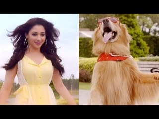 Tamannaah: 'After working in It's Entertainment I got myself a puppy'