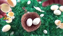 Surprise Eggs - Bee Bugs, Millipede, House Lizard, Baby Toys - Surprise Eggs Toys for Kids