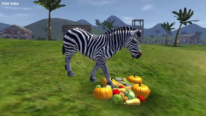 Compilation Animals Farm And Wild for Kids | English Class Animal