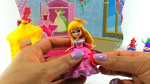 Disney Princess Little Kingdom Auroras Fairy Tale Dreams Doll from Sleeping Beauty