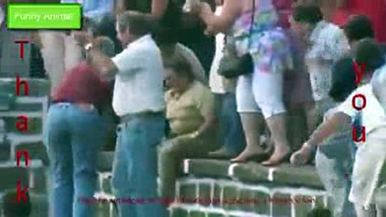 FUNNY ANIMALS cows -14