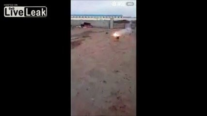 Des imbéciles ont attaché une guirlande de pétards à la queue d'un chien terrorisé