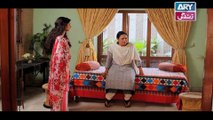 Haal-e-Dil Ep 63 - on Ary Zindagi in High Quality 22nd December 2016