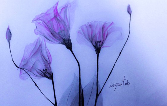 How to draw a Flower رسم ورود بقلم الرصاص وأقلام ملونة عادية