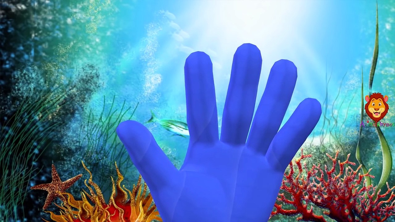Animals Cartoon Finger Family Songs | 3D Animation Finger Family And Nursery Rhymes For Children