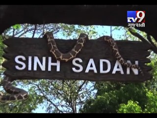Crocodile count to be held in Gir-Somnath, Amreli & Junagadh - Tv9