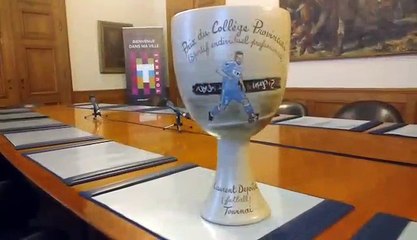 Laurent Depoitre mérite sportif provincial