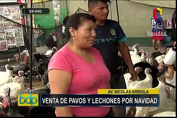 Navidad 2016: venta de pavos y lechones para la Nochebuena