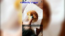 Shay Mitchell Snapchat Stories December 21st 2016 _ Celebrity Snaps