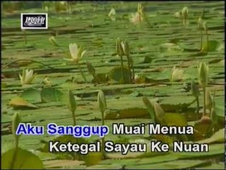 Joget 100% Sayau - Nelson Nehru