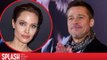 Brad Pitt Lashes Out at Angelina Jolie For Reveling Private Information About Kids