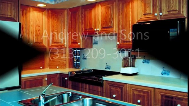 Andrew and Sons - (313) 209-3011