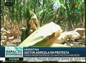 Yerbateros piden al Estado argentino responda a sus demandas