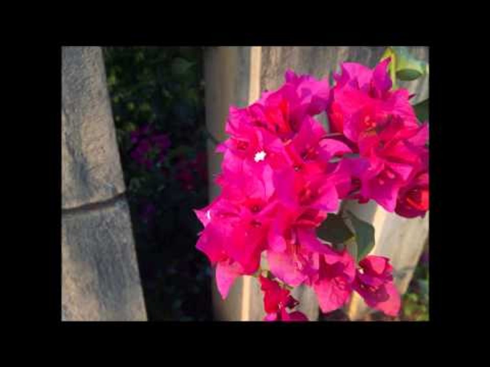 Micromax Canvas Knight A350 Camera