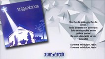 Villancicos Navideños - Noche De Paz (Audio Lyric)