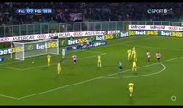All Goals & Highlights HD - Palermo 1-1 Pescara - 22.12.2016