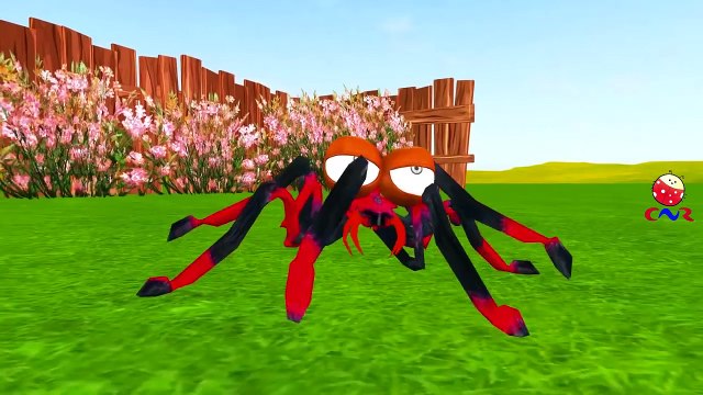 Itsy Bitsy Spider Song Children Nursery Rhymes | Itsy Bitsy Spider Cartoon Rhymes | Incy Wincy