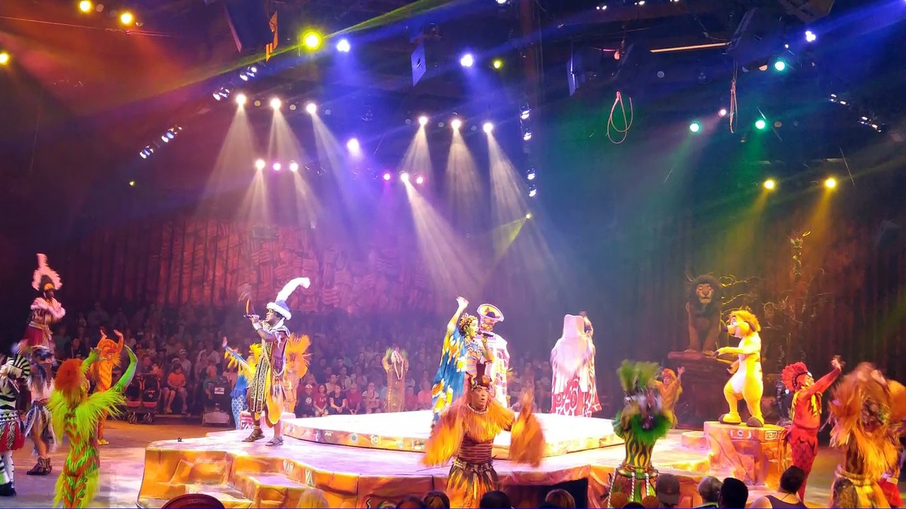 Animal Kingdom 11 Novembre