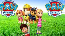 Paw Patrol - Fresh Beat Band Of Spies Transformation - Nursery Rhymes & Coloring Pages for Kids