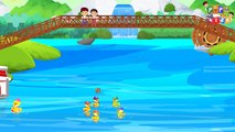 Five Little Ducks Went Out One Day | Nursery Rhymes Songs for Children & Kids Learning by Po Po Kids