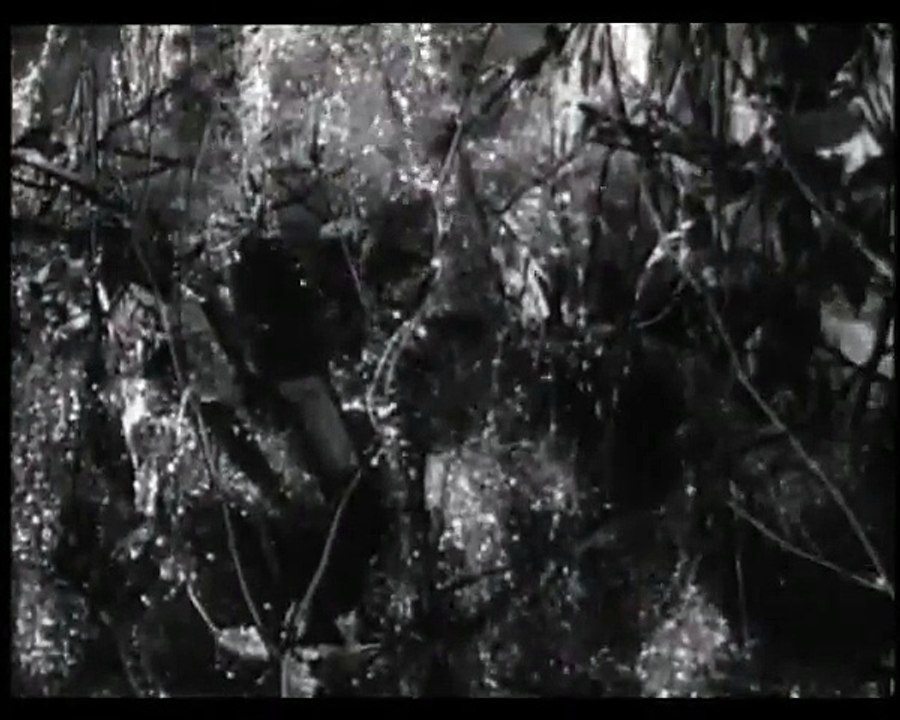 Planet Patrol  E29 - Secret Formula