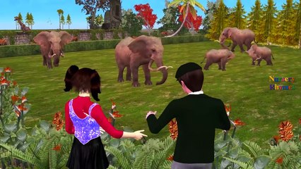 Spiderman Vs Gorilla Finger Family | Hulk Vs Animals Finger Family | Godzilla Kids Nursery Rhymes