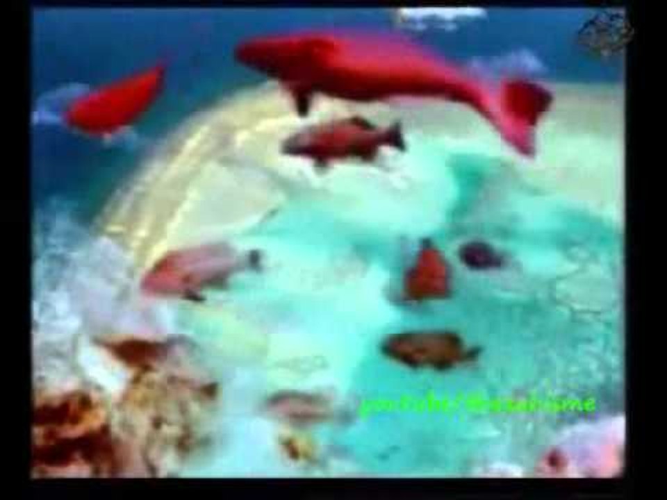 AMAR EZZAHI  Soltane El Ber Ou Lebhar مع فيديو من روائع خلق الله