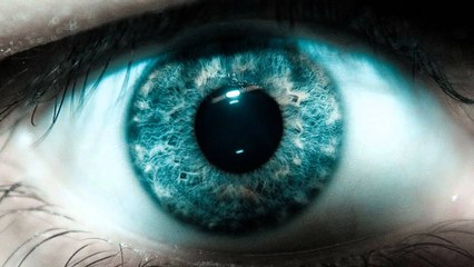 Lowering Your Gaze - Beautiful Advice