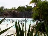 Typhoon Lagoon