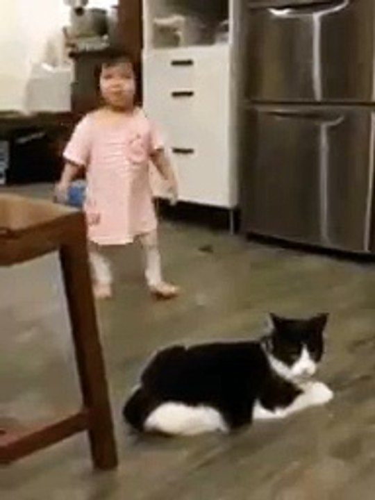 Cat Mind