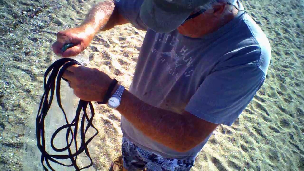 Cast Netting COB Mullet