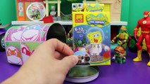 Teenage Mutant Ninja Turtles Surprise Opening a TMNT Mailbox with Kinder Eggs and Blind Bags