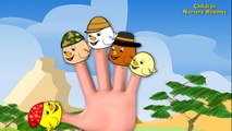 Funny Angry Birds Cartoon Finger Family | Daddy Finger Family Nursery Rhyme | Children Rhymes HD