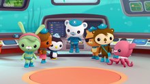 cBeebies Children Cartoon . Octonauts . s02e02 . The Sea Snakes