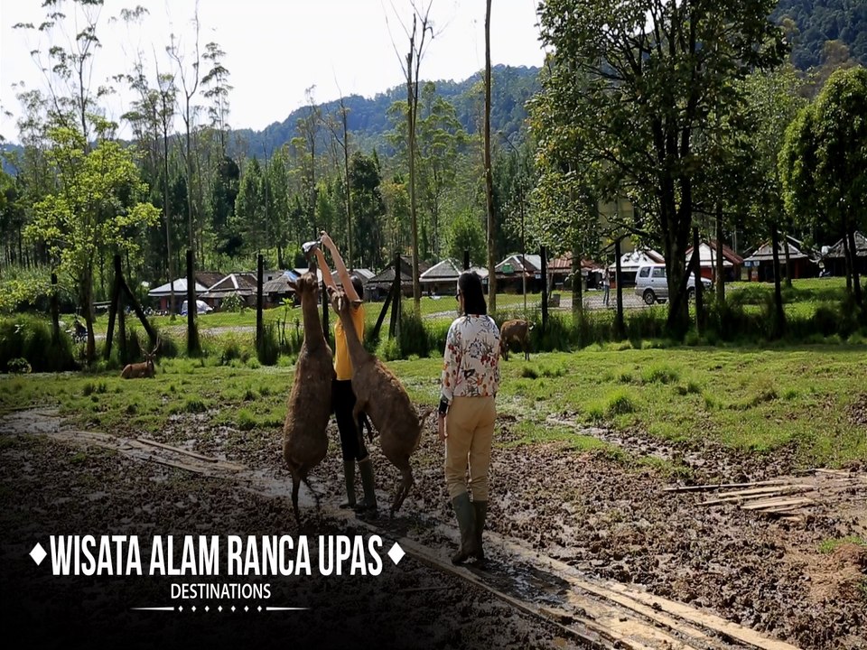 Wisata Alam Ranca Upas