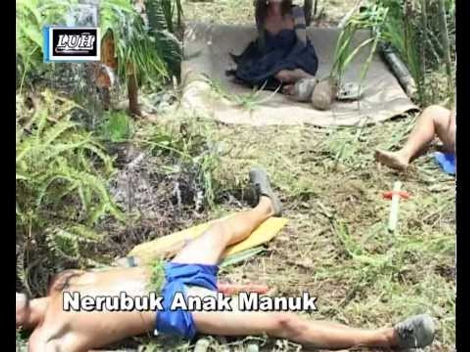 Nerubuk Anak Manuk - Lerry Silas
