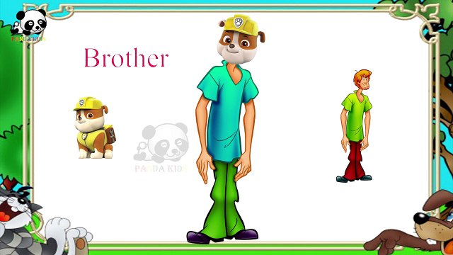 Paw Patrol Scooby-Doo Finger Family Songs - Daddy Finger Family Nursery Rhymes - Panda Kids